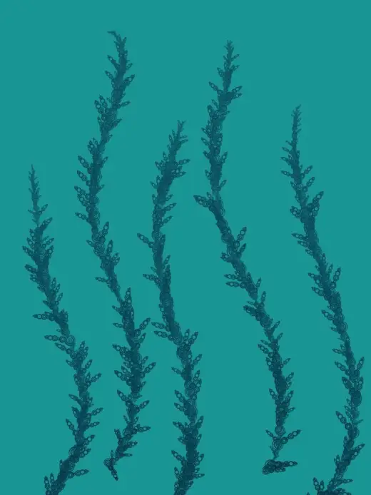 Alien Flora brush — Procreate brush