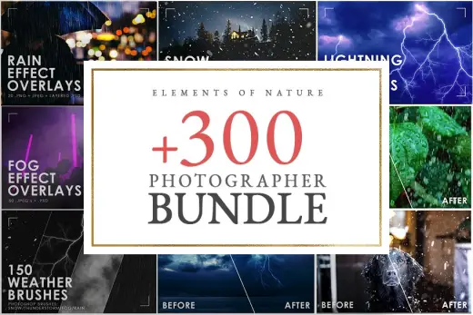 [Paid] Elements of Nature Bundle — Procreate brush