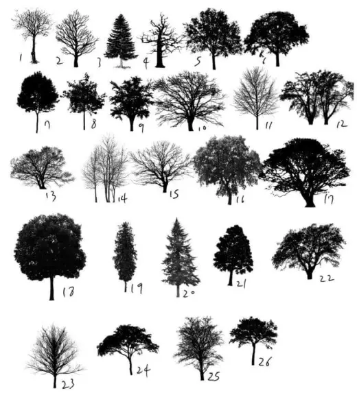 Tree Nature brush — Procreate brush