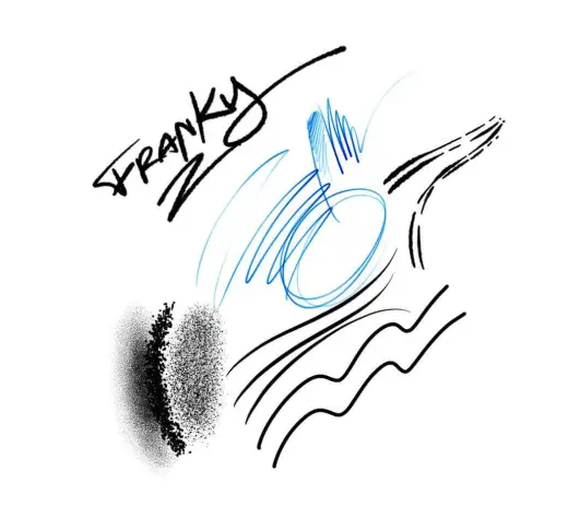 Graphic Illustration Brushes – Franky — Procreate brush
