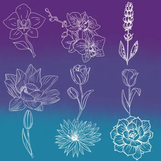 9 Flower Stamp Brush Set — Procreate brush