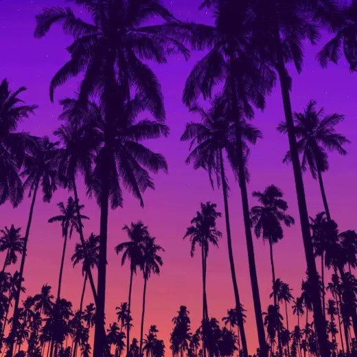 FREE 75 palm tree stamps part 2 — Procreate brush