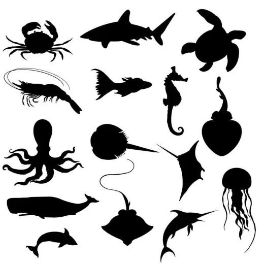 Ocean Life stamp set — Procreate brush