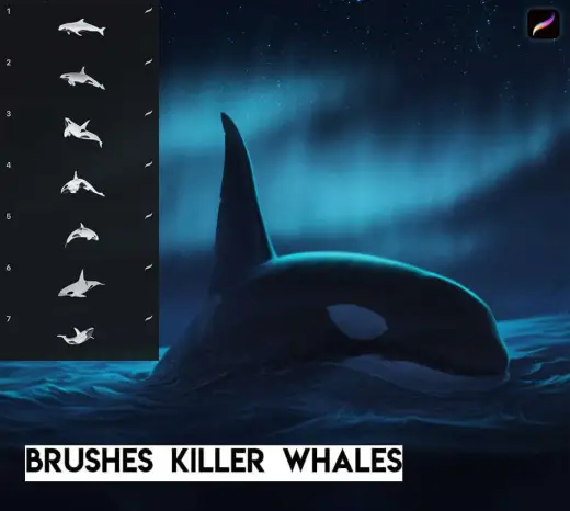 Killer Whale Brushes (Free) — Procreate brush