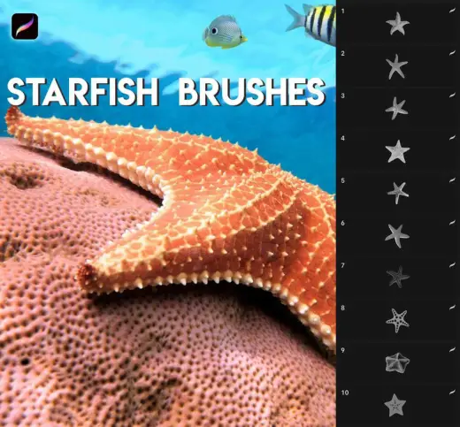 Starfish Brushes (Free) — Procreate brush