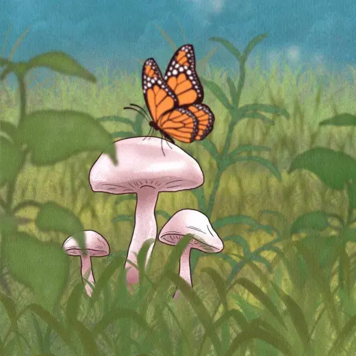 Mushroom Stamp free — Procreate brush