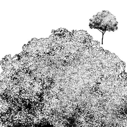Free tree stamp brush — Procreate brush