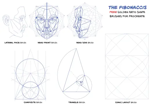 Golden Ratio and Face Composition — Procreate brush