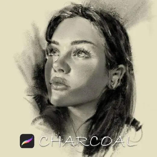 Charcoal Brushes for Procreate — Procreate brush