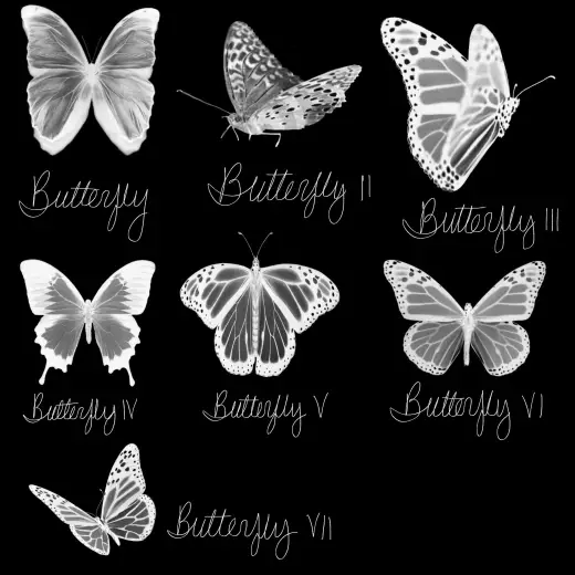Butterfly & Tile Brushes — Procreate brush