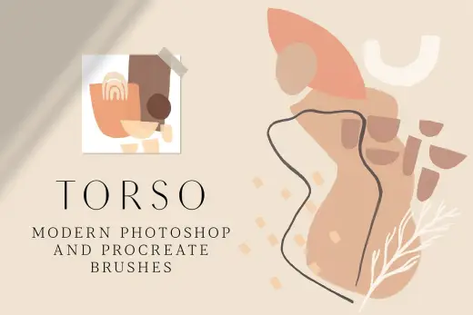 [Paid] TORSO – Photoshop & Procreate Stamps — Procreate brush
