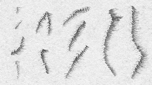 Hyacinth — 19th-Century Mountain Brushes 2.0 — open licensed brushes
