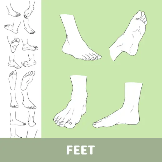 Feet Stamp Pack: 60 Procreate Stamps for Anime and Realistic Art Styles — Procreate brush