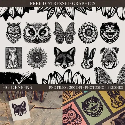 Free Assorted Distressed Photoshop Brushes — Procreate brush